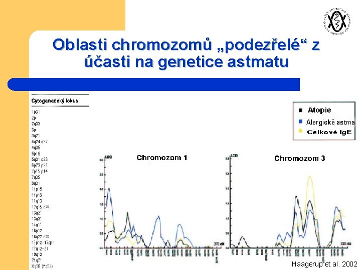 Oblasti chromozomů „podezřelé“ z účasti na genetice astmatu Haagerup et al. 2002 
