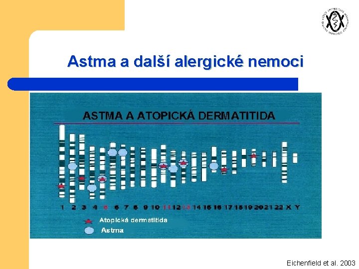 Astma a další alergické nemoci Eichenfield et al. 2003 