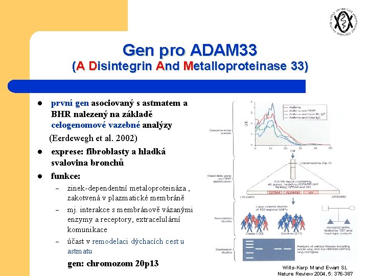 Gen pro ADAM 33 (A Disintegrin And Metalloproteinase 33) první gen asociovaný s astmatem