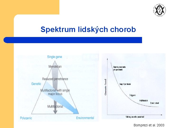 Spektrum lidských chorob Bomprezi et al. 2003 