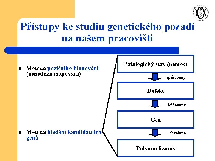 Přístupy ke studiu genetického pozadí na našem pracovišti Metoda pozičního klonování (genetické mapování) l