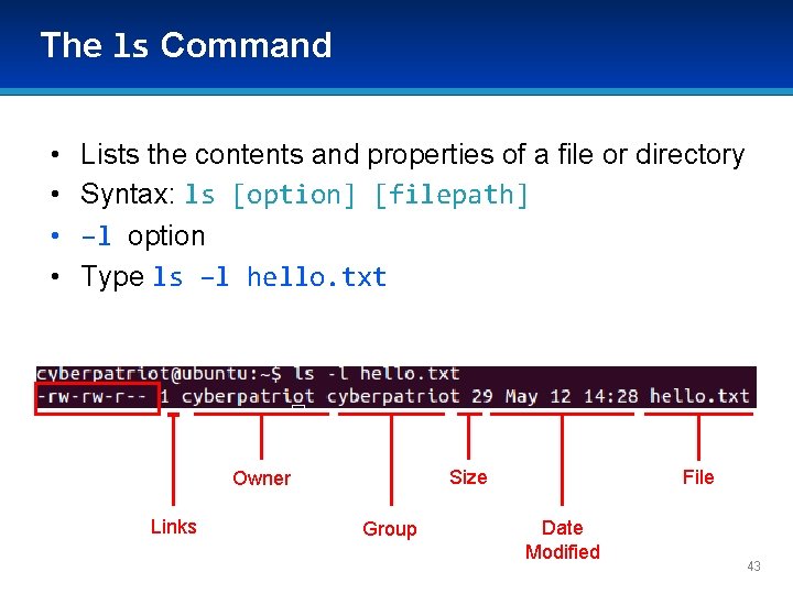 The ls Command • • Lists the contents and properties of a file or The ls Command • • Lists the contents and properties of a file or