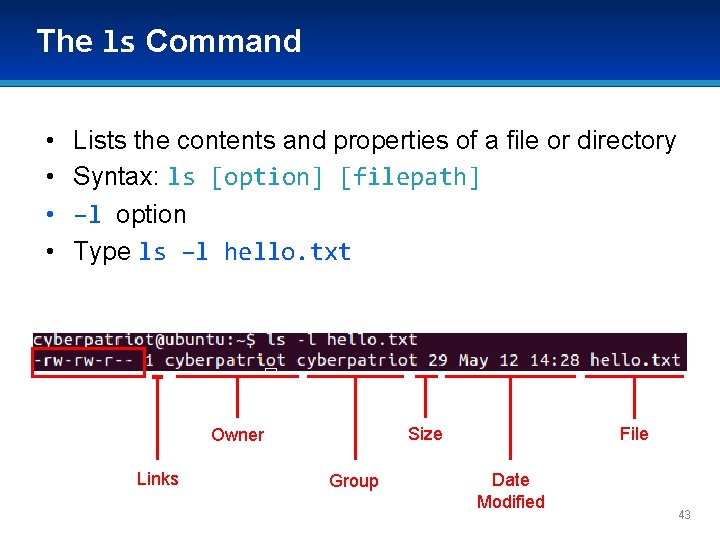 The ls Command • • Lists the contents and properties of a file or