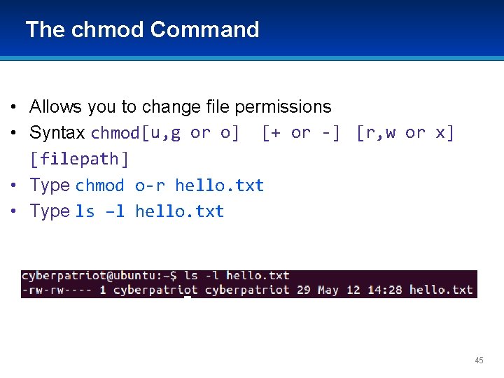 The chmod Command • Allows you to change file permissions • Syntax chmod[u, g