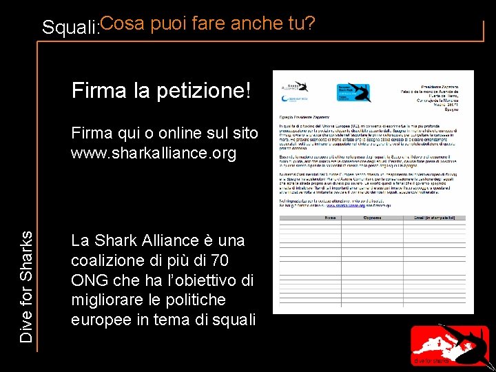 Squali: Cosa puoi fare anche tu? Firma la petizione! Dive for Sharks Firma qui