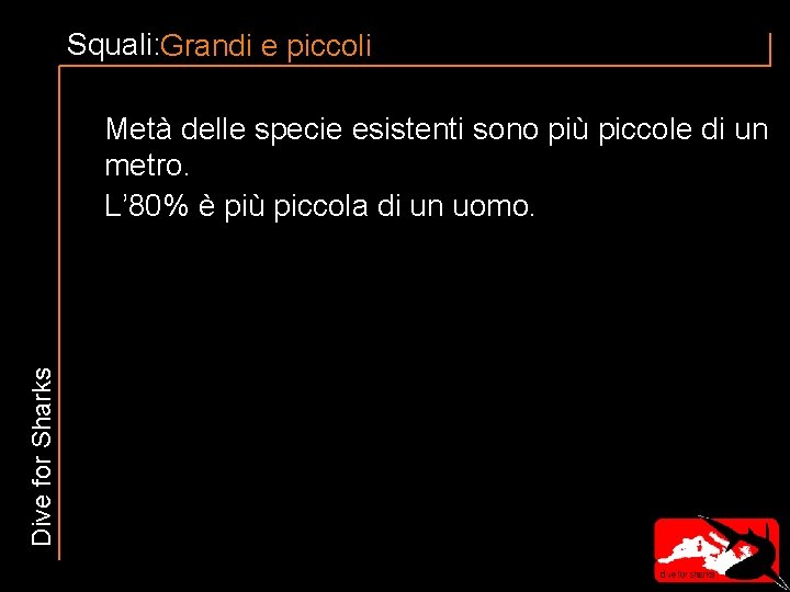 Squali: Grandi e piccoli Dive for Sharks Metà delle specie esistenti sono più piccole