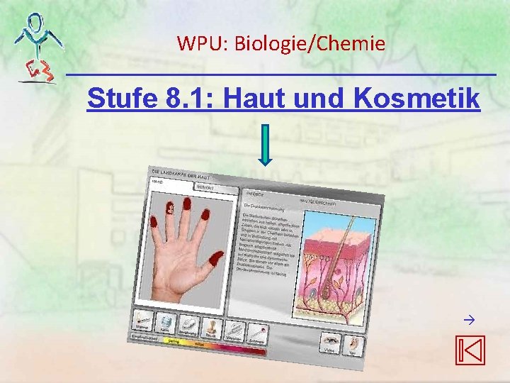 WPU: Biologie/Chemie Stufe 8. 1: Haut und Kosmetik WPU: Biologie/Chemie Stufe 8. 1: Haut und Kosmetik