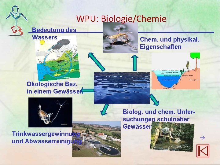 WPU: Biologie/Chemie Bedeutung des Wassers Chem. und physikal. Eigenschaften Ökologische Bez. in einem Gewässer WPU: Biologie/Chemie Bedeutung des Wassers Chem. und physikal. Eigenschaften Ökologische Bez. in einem Gewässer