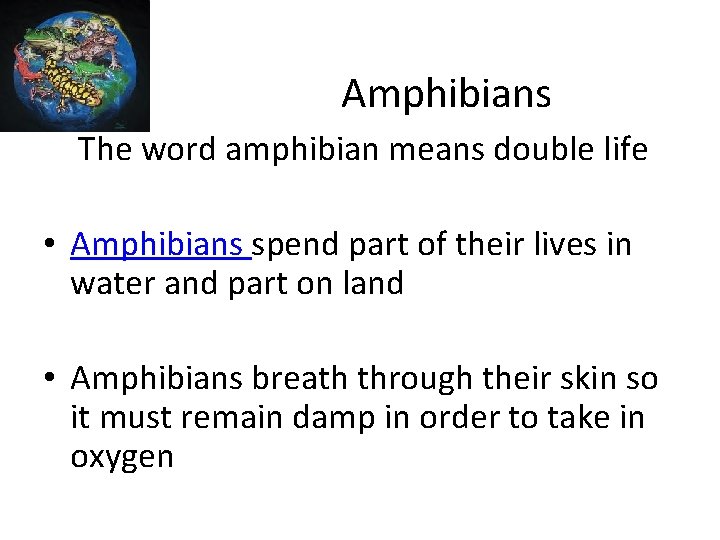 Amphibians • The word amphibian means double life • Amphibians spend part of their