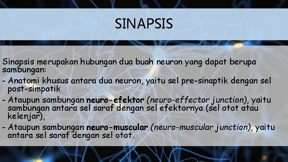 SINAPSIS Sinapsis merupakan hubungan dua buah neuron yang dapat berupa sambungan: - Anatomi khusus