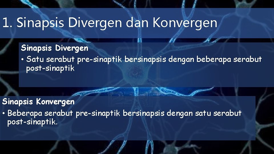 1. Sinapsis Divergen dan Konvergen Sinapsis Divergen • Satu serabut pre-sinaptik bersinapsis dengan beberapa