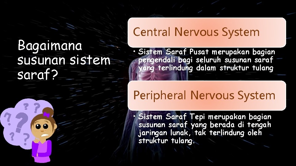 Bagaimana susunan sistem saraf? Central Nervous System • Sistem Saraf Pusat merupakan bagian pengendali