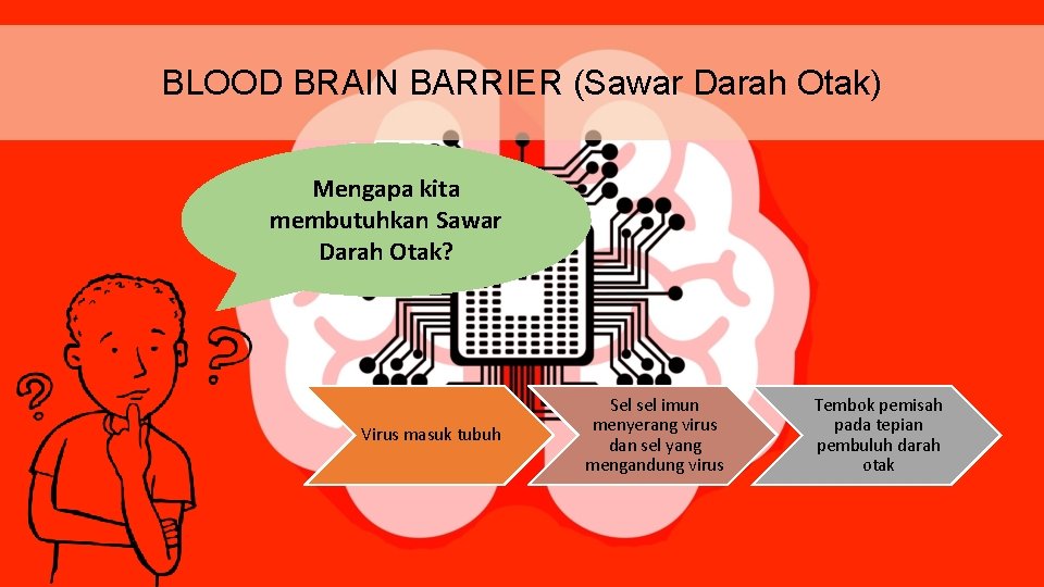 BLOOD BRAIN BARRIER (Sawar Darah Otak) Mengapa kita membutuhkan Sawar Darah Otak? Virus masuk