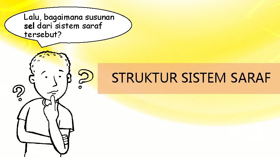 Lalu, bagaimana susunan sel dari sistem saraf tersebut? STRUKTUR SISTEM SARAF 