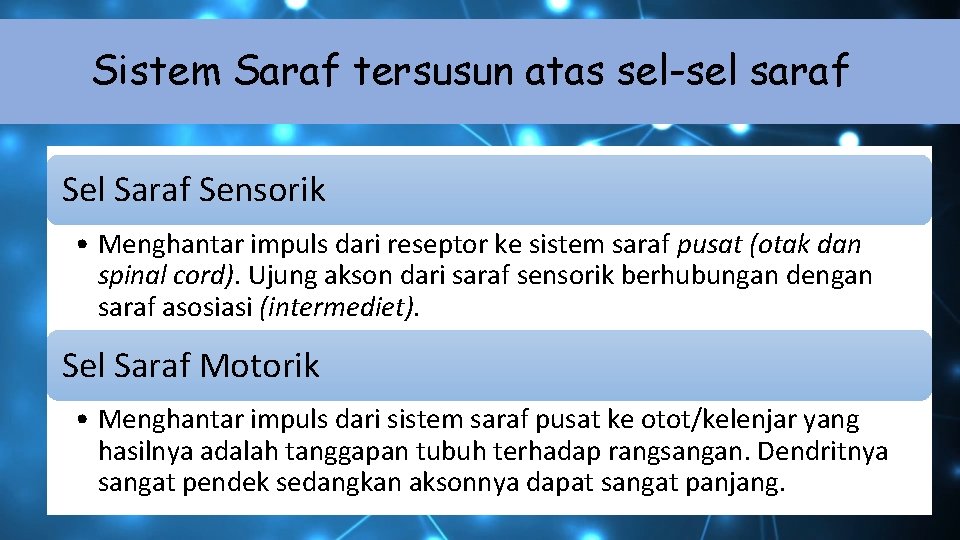 Sistem Saraf tersusun atas sel-sel saraf Sel Saraf Sensorik • Menghantar impuls dari reseptor