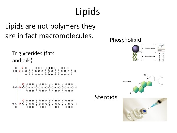 Lipids are not polymers they are in fact macromolecules. Phospholipid Triglycerides (fats and oils)