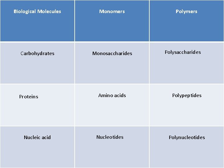Biological Molecules Monomers Carbohydrates Monosaccharides Proteins Nucleic acid Amino acids Nucleotides Polymers Polysaccharides Polypeptides