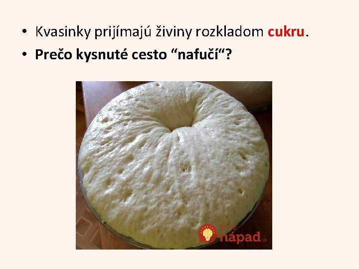  • Kvasinky prijímajú živiny rozkladom cukru. • Prečo kysnuté cesto “nafučí“? 