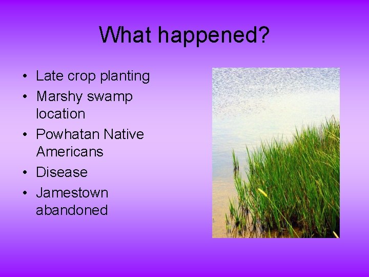 What happened? • Late crop planting • Marshy swamp location • Powhatan Native Americans