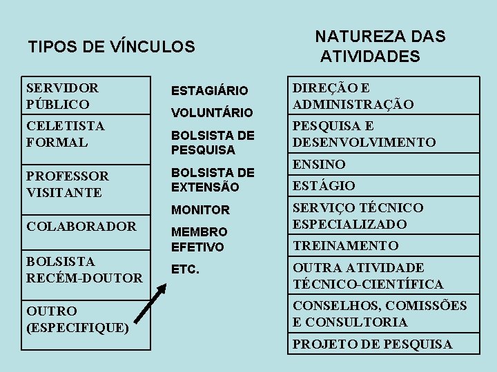 TIPOS DE VÍNCULOS SERVIDOR PÚBLICO CELETISTA FORMAL PROFESSOR VISITANTE ESTAGIÁRIO VOLUNTÁRIO BOLSISTA DE PESQUISA