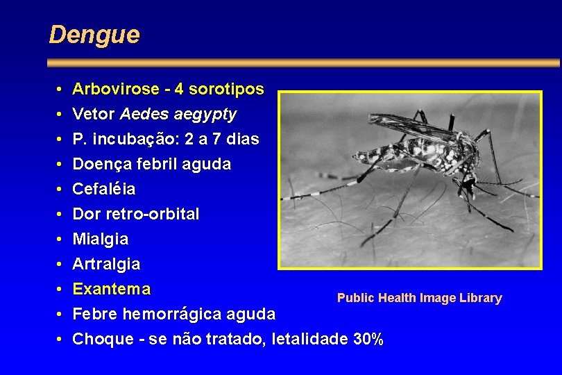 Dengue • • • Arbovirose - 4 sorotipos Vetor Aedes aegypty P. incubação: 2