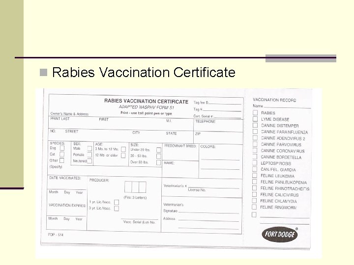  Rabies Vaccination Certificate 