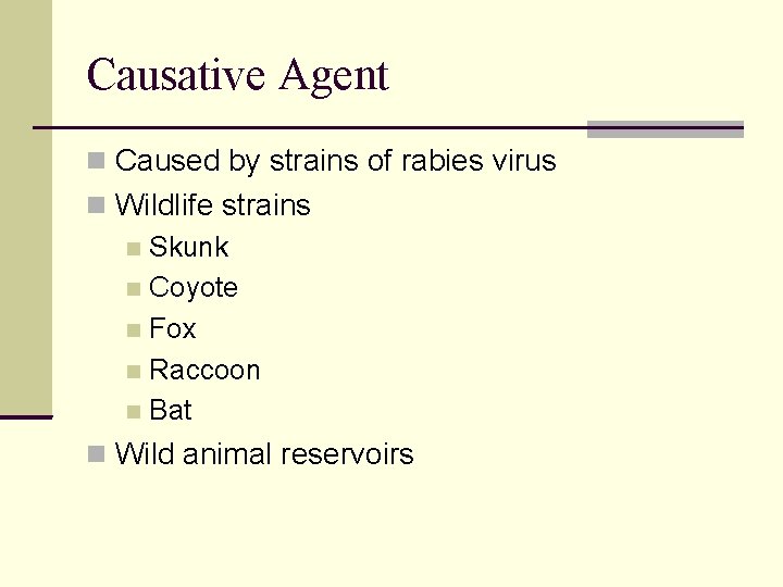 Causative Agent Caused by strains of rabies virus Wildlife strains Skunk Coyote Fox Raccoon