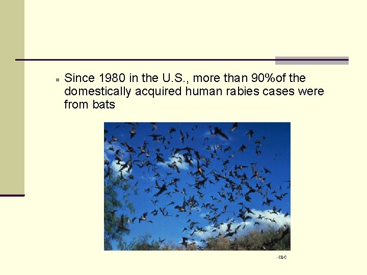  Since 1980 in the U. S. , more than 90%of the domestically acquired