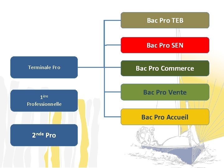 Bac Pro TEB Bac Pro SEN Terminale Pro 1ère Bac Pro Commerce Bac Pro