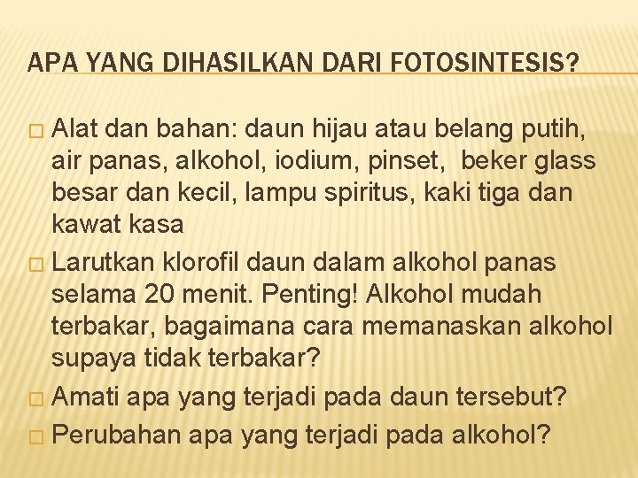 APA YANG DIHASILKAN DARI FOTOSINTESIS? � Alat dan bahan: daun hijau atau belang putih,