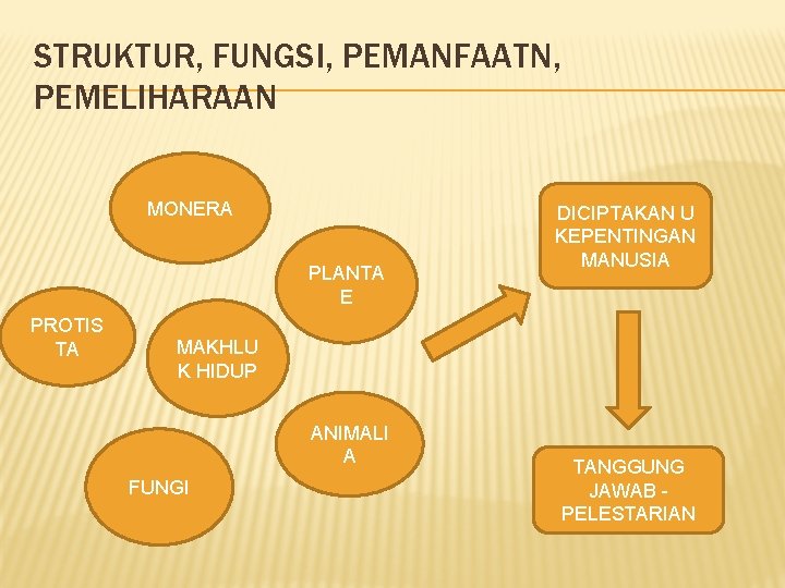 STRUKTUR, FUNGSI, PEMANFAATN, PEMELIHARAAN MONERA PLANTA E PROTIS TA DICIPTAKAN U KEPENTINGAN MANUSIA MAKHLU