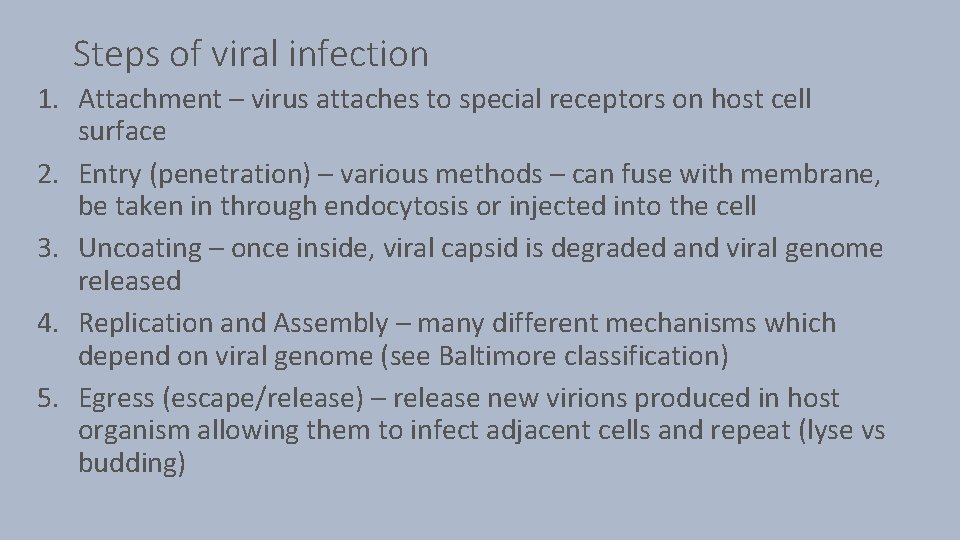 Steps of viral infection 1. Attachment – virus attaches to special receptors on host