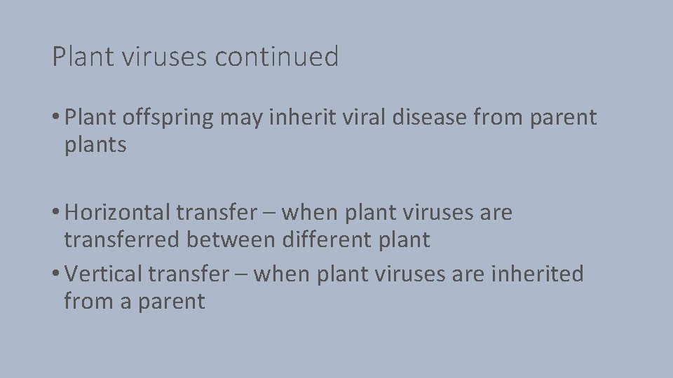 Plant viruses continued • Plant offspring may inherit viral disease from parent plants •