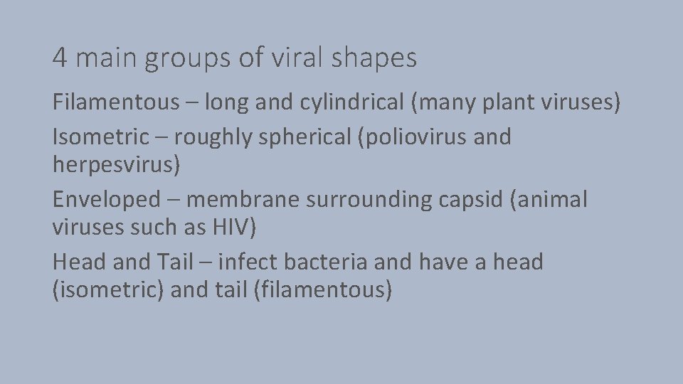 4 main groups of viral shapes Filamentous – long and cylindrical (many plant viruses)