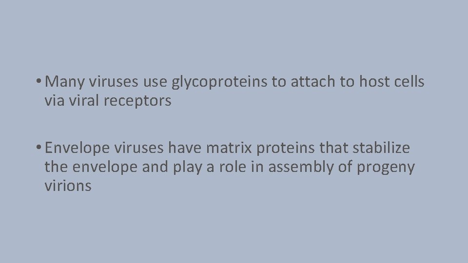  • Many viruses use glycoproteins to attach to host cells via viral receptors