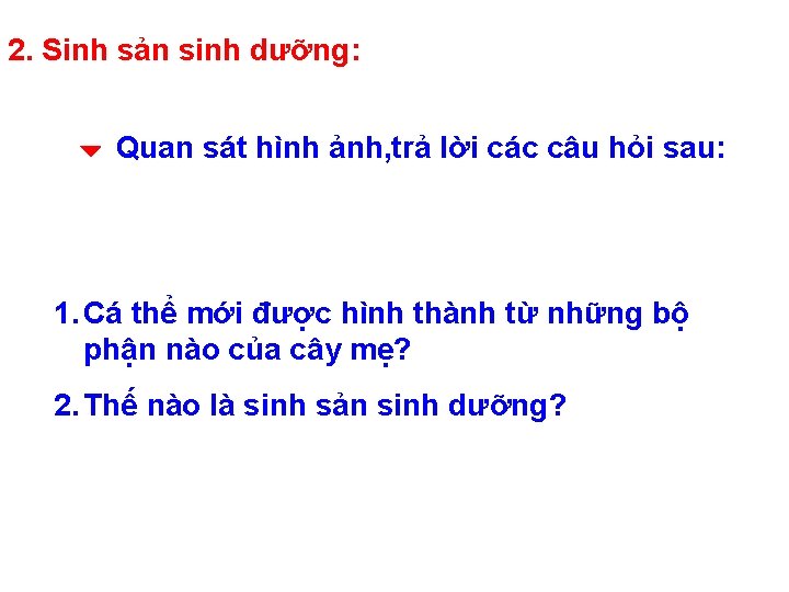 2. Sinh sản sinh dưỡng: Quan sát hình ảnh, trả lời các câu hỏi