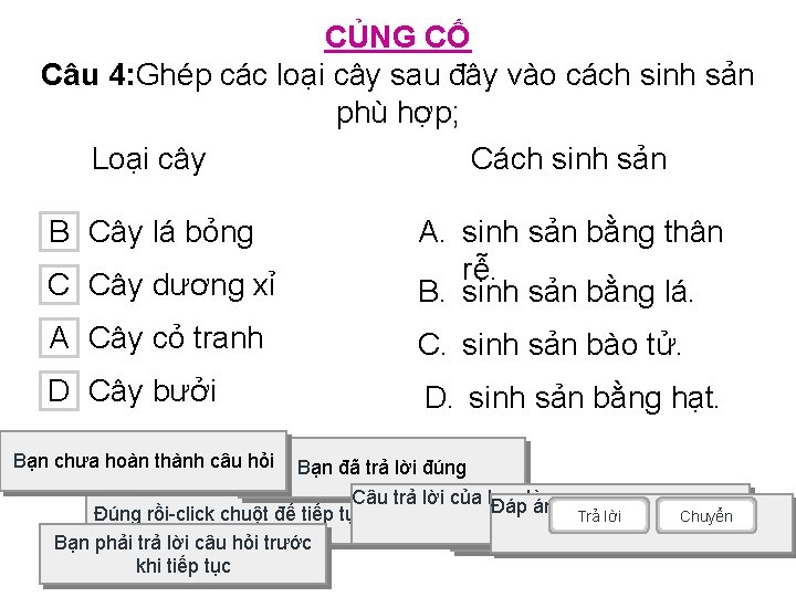 CỦNG CỐ Câu 4: Ghép các loại cây sau đây vào cách sinh sản