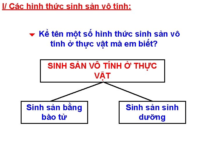 I/ Các hình thức sinh sản vô tính: Kể tên một số hình thức