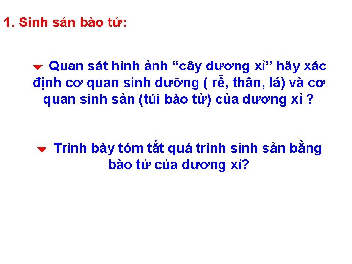 1. Sinh sản bào tử: Quan sát hình ảnh “cây dương xỉ” hãy xác