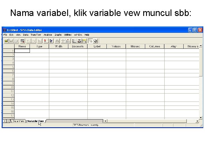 Nama variabel, klik variable vew muncul sbb: 