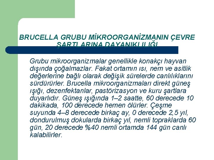 BRUCELLA GRUBU MİKROORGANİZMANIN ÇEVRE ŞARTLARINA DAYANIKLILIĞI Grubu mikroorganizmalar genellikle konakçı hayvan dışında çoğalmazlar. Fakat