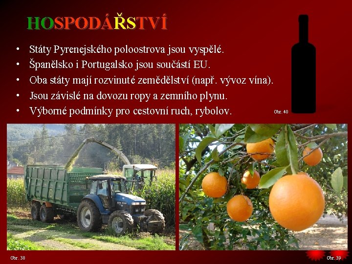 HOSPODÁŘSTVÍ • • • Obr. 38 Státy Pyrenejského poloostrova jsou vyspělé. Španělsko i Portugalsko