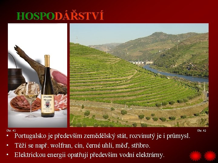 HOSPODÁŘSTVÍ Obr. 41 • Portugalsko je především zemědělský stát, rozvinutý je i průmysl. •