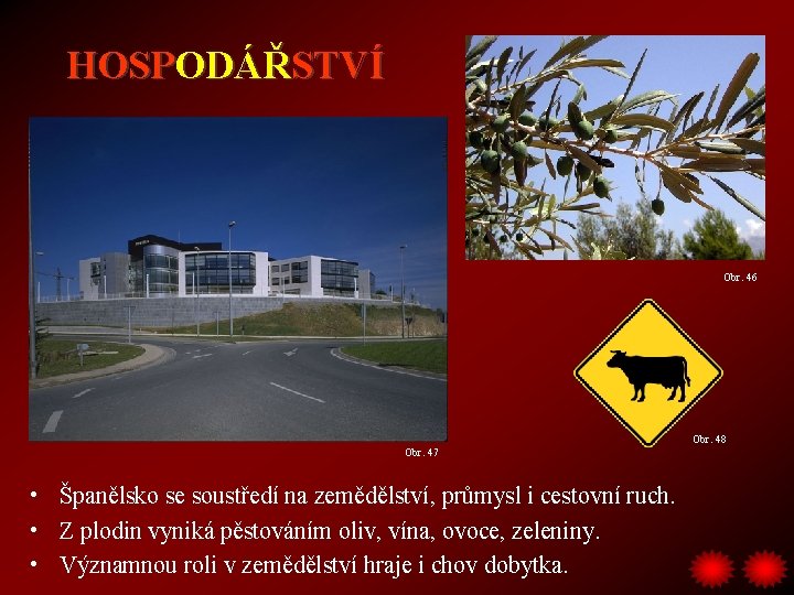HOSPODÁŘSTVÍ Obr. 46 Obr. 48 Obr. 47 • Španělsko se soustředí na zemědělství, průmysl