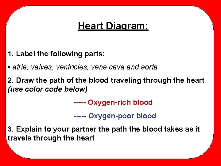 Heart Diagram: 1. Label the following parts: • atria, valves, ventricles, vena cava and