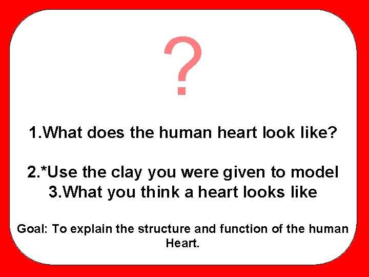 ? 1. What does the human heart look like? 2. *Use the clay you