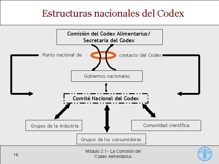 Estructuras nacionales del Codex Comisión del Codex Alimentarius/ Secretaría del Codex Punto nacional de