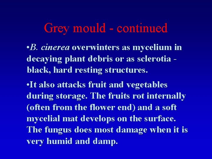 Grey mould - continued • B. cinerea overwinters as mycelium in decaying plant debris