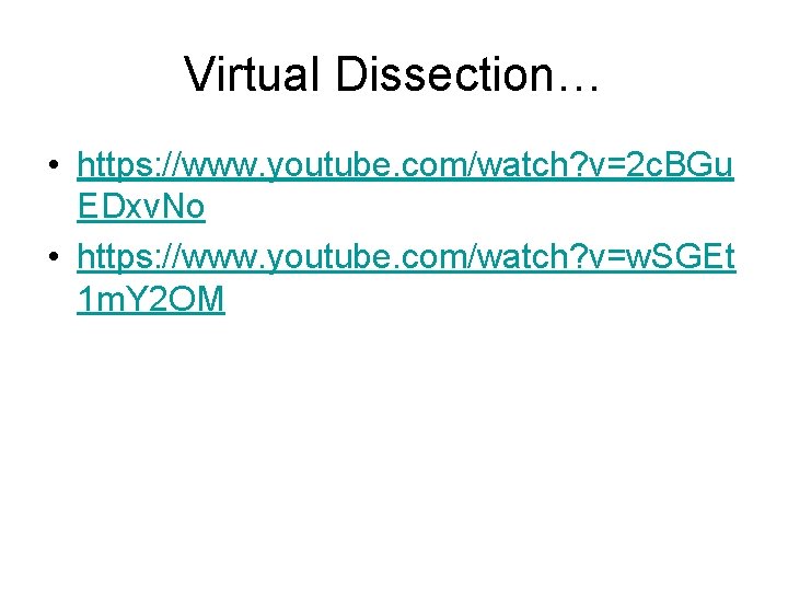 Virtual Dissection… • https: //www. youtube. com/watch? v=2 c. BGu EDxv. No • https:
