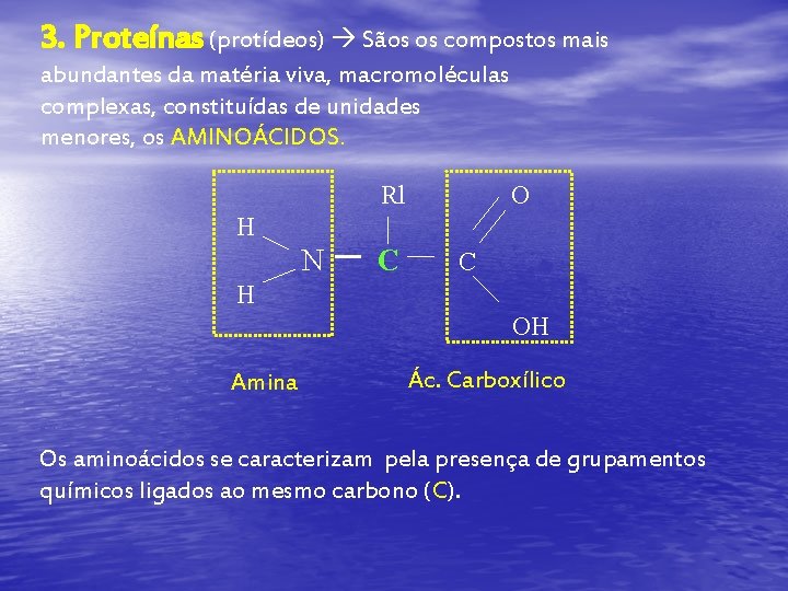 3. Proteínas (protídeos) Sãos os compostos mais abundantes da matéria viva, macromoléculas complexas, constituídas